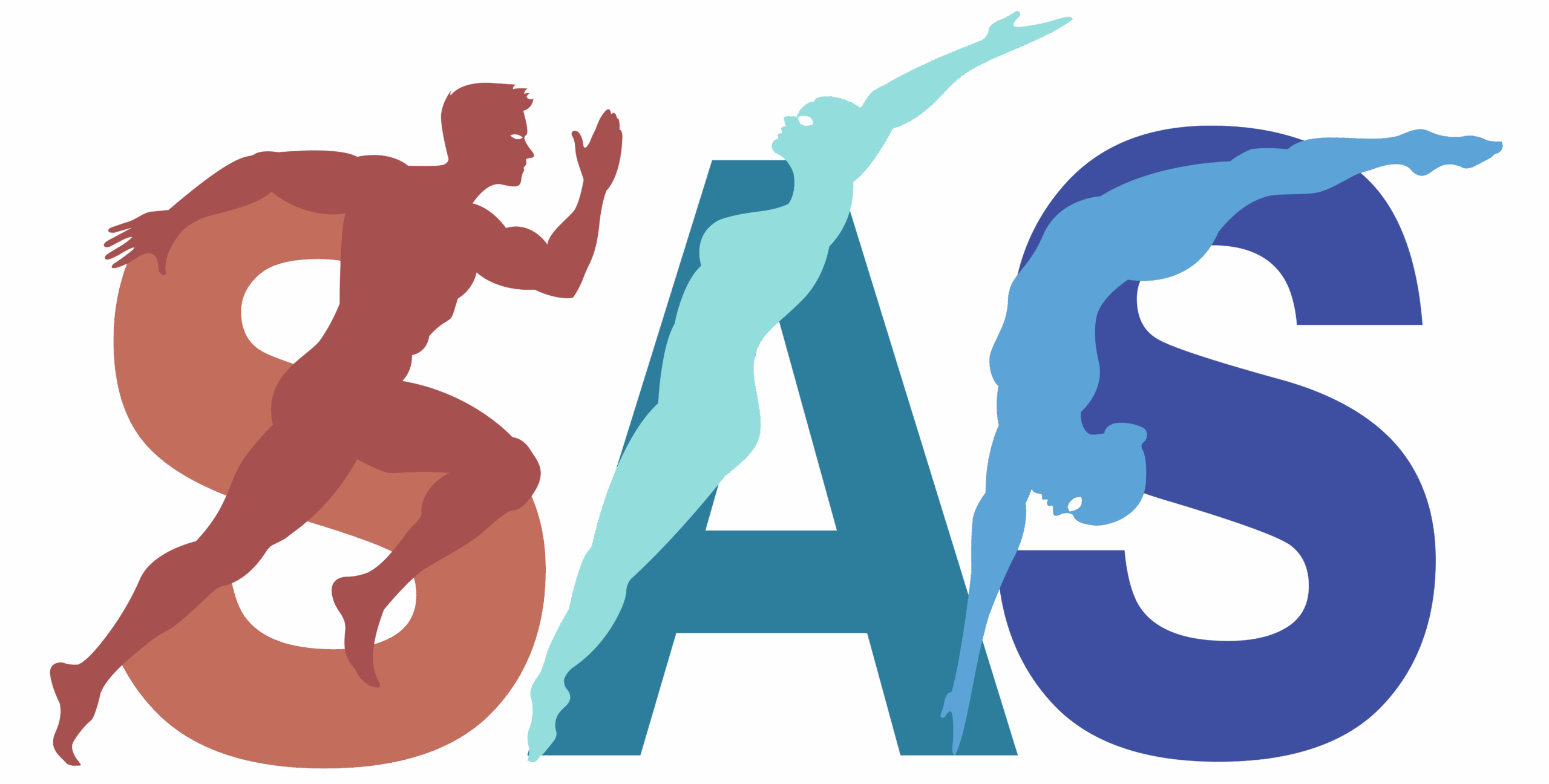 sas logo high res